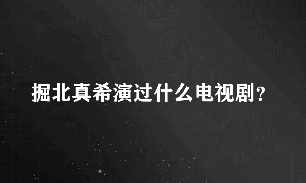 掘北真希演过什么电视剧？