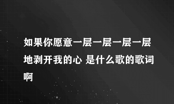 如果你愿意一层一层一层一层地剥开我的心 是什么歌的歌词啊