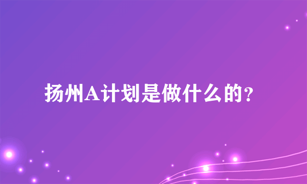 扬州A计划是做什么的？