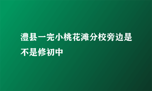 澧县一完小桃花滩分校旁边是不是修初中