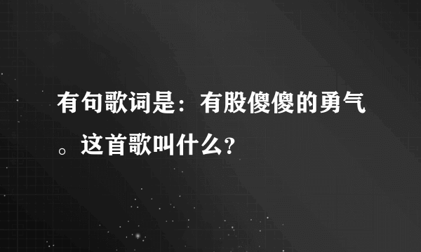 有句歌词是：有股傻傻的勇气。这首歌叫什么？