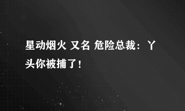 星动烟火 又名 危险总裁：丫头你被捕了！