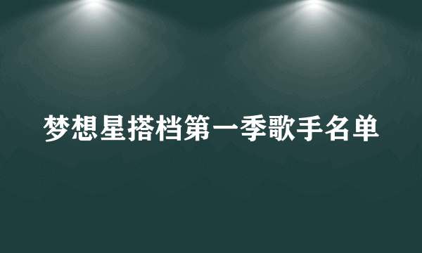 梦想星搭档第一季歌手名单