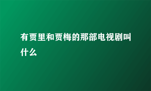 有贾里和贾梅的那部电视剧叫什么