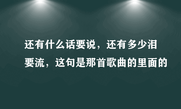 还有什么话要说，还有多少泪要流，这句是那首歌曲的里面的