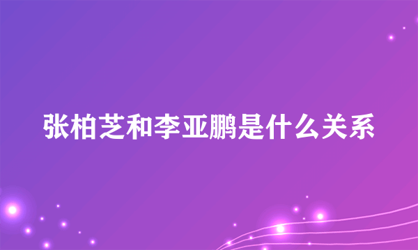 张柏芝和李亚鹏是什么关系