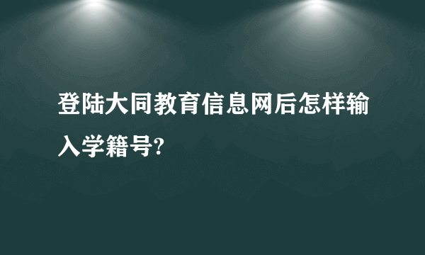 登陆大同教育信息网后怎样输入学籍号?