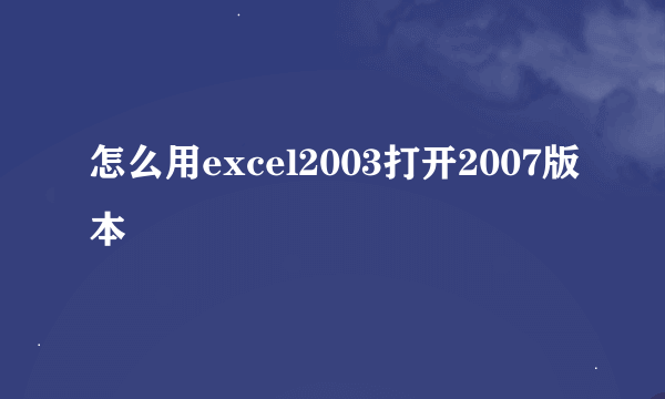 怎么用excel2003打开2007版本