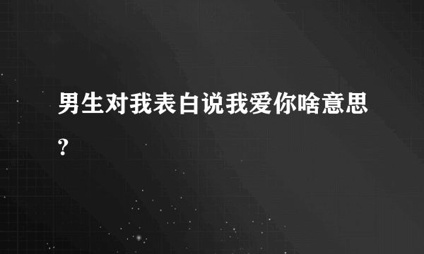 男生对我表白说我爱你啥意思？