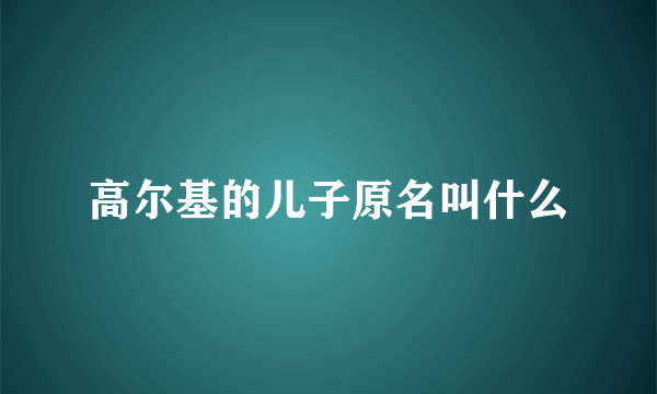 高尔基的儿子原名叫什么