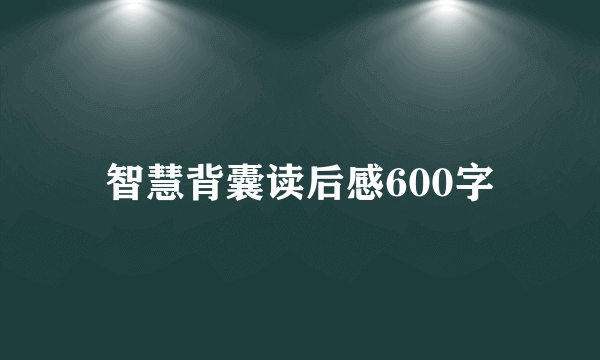 智慧背囊读后感600字