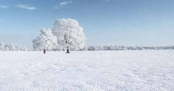 雪重还是冰重