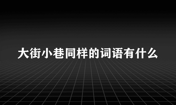 大街小巷同样的词语有什么