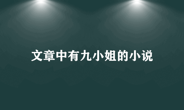 文章中有九小姐的小说