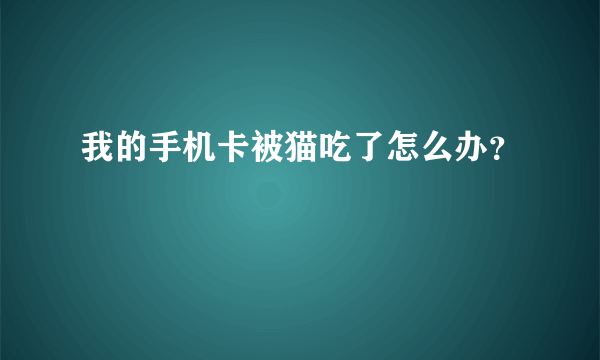 我的手机卡被猫吃了怎么办？