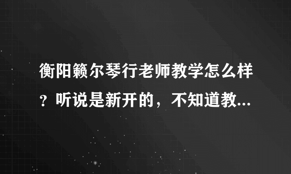 衡阳籁尔琴行老师教学怎么样？听说是新开的，不知道教学质量如何？