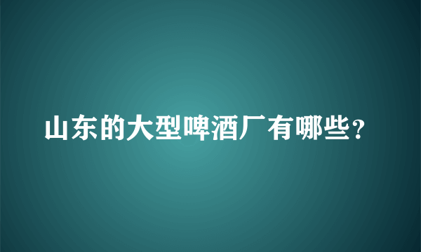 山东的大型啤酒厂有哪些？