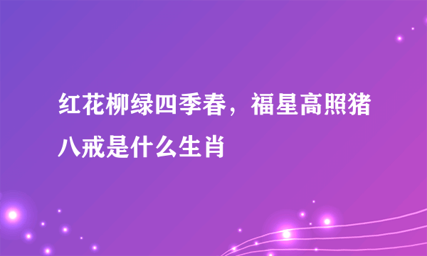 红花柳绿四季春，福星高照猪八戒是什么生肖