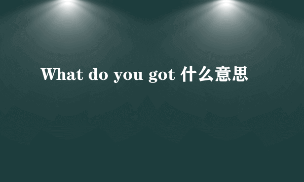 What do you got 什么意思