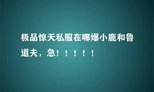 极品惊天私服在哪爆小鹿和鲁道夫，急！！！！！