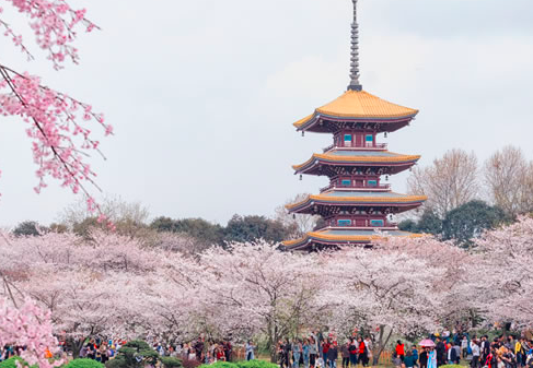 清明节适合旅游的地方？