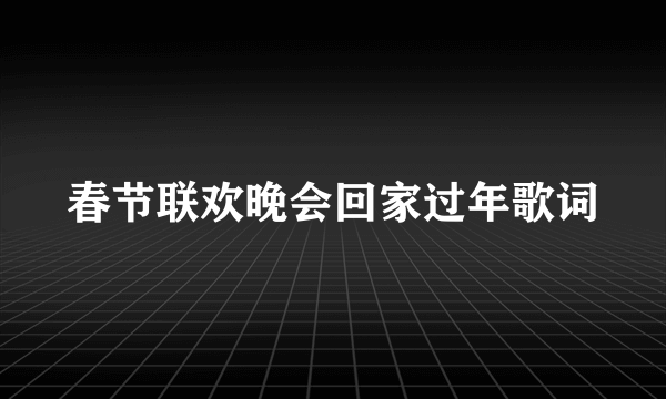 春节联欢晚会回家过年歌词