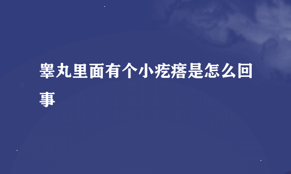 睾丸里面有个小疙瘩是怎么回事