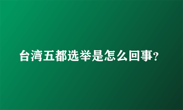 台湾五都选举是怎么回事？