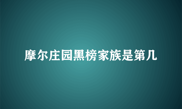 摩尔庄园黑榜家族是第几