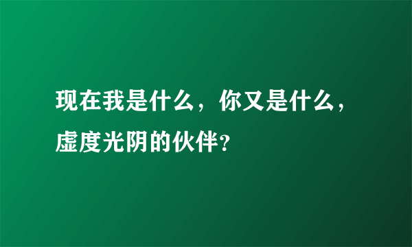 现在我是什么，你又是什么，虚度光阴的伙伴？