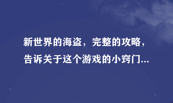 新世界的海盗，完整的攻略，告诉关于这个游戏的小窍门，怎么玩等等~