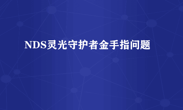 NDS灵光守护者金手指问题