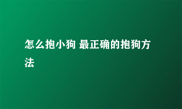 怎么抱小狗 最正确的抱狗方法