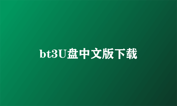 bt3U盘中文版下载