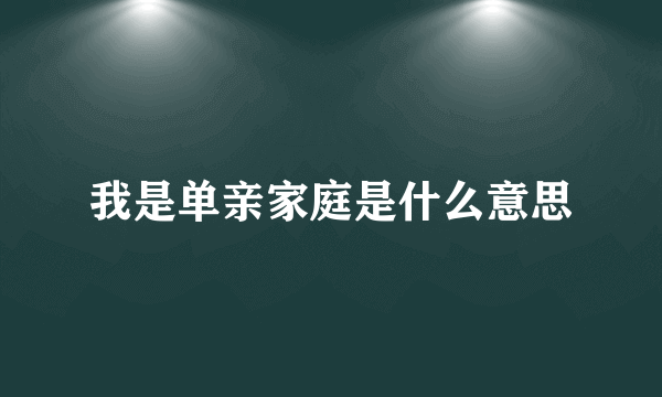 我是单亲家庭是什么意思