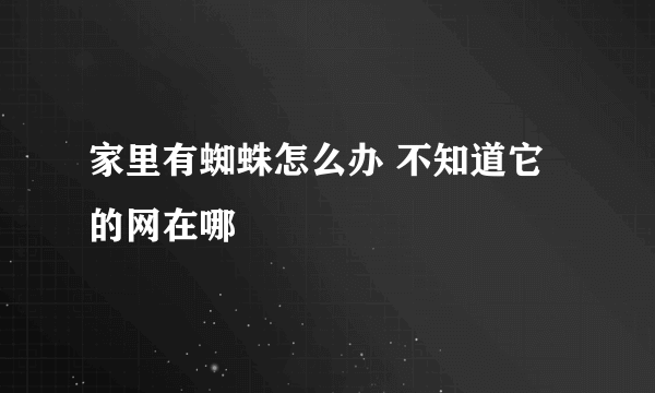 家里有蜘蛛怎么办 不知道它的网在哪