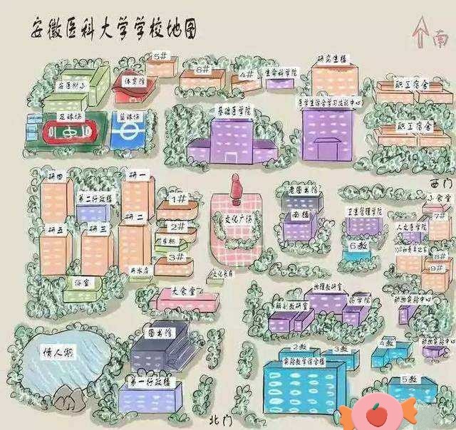 安徽医科大学好不好