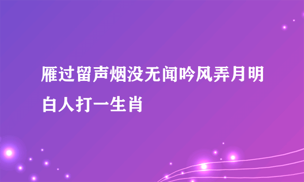 雁过留声烟没无闻吟风弄月明白人打一生肖