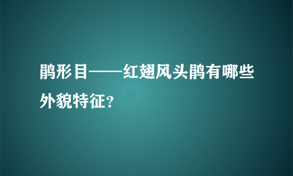 鹃形目——红翅风头鹃有哪些外貌特征？