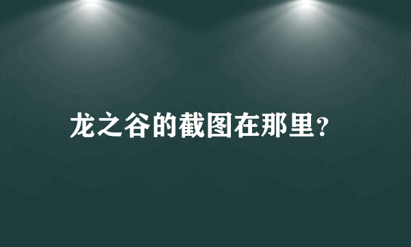 龙之谷的截图在那里？