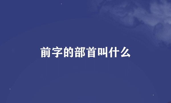 前字的部首叫什么