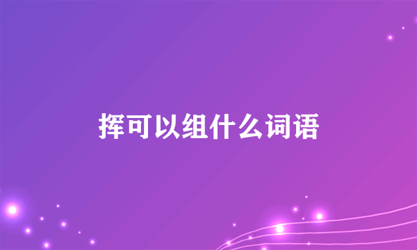 挥可以组什么词语