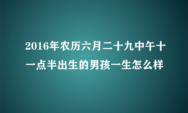 2016年农历六月二十九中午十一点半出生的男孩一生怎么样