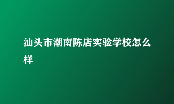 汕头市潮南陈店实验学校怎么样