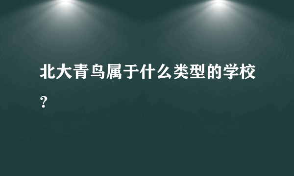 北大青鸟属于什么类型的学校？