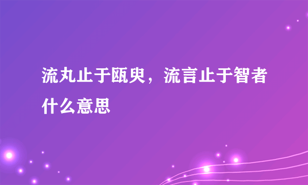 流丸止于瓯臾，流言止于智者什么意思