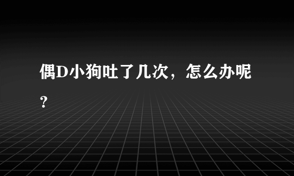 偶D小狗吐了几次，怎么办呢？