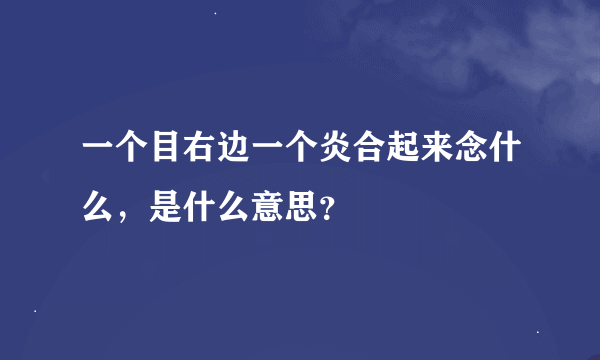 一个目右边一个炎合起来念什么，是什么意思？