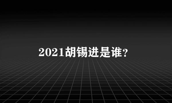 2021胡锡进是谁？