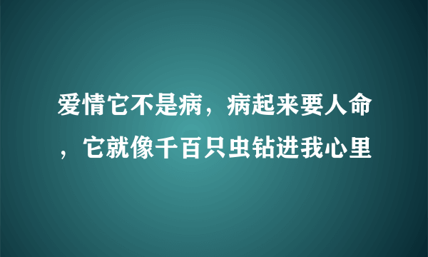 爱情它不是病，病起来要人命，它就像千百只虫钻进我心里